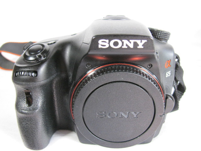 人気ブランドを SLT-A65V α65 / SONY / ダブルレンズ / SAM 55-200 4