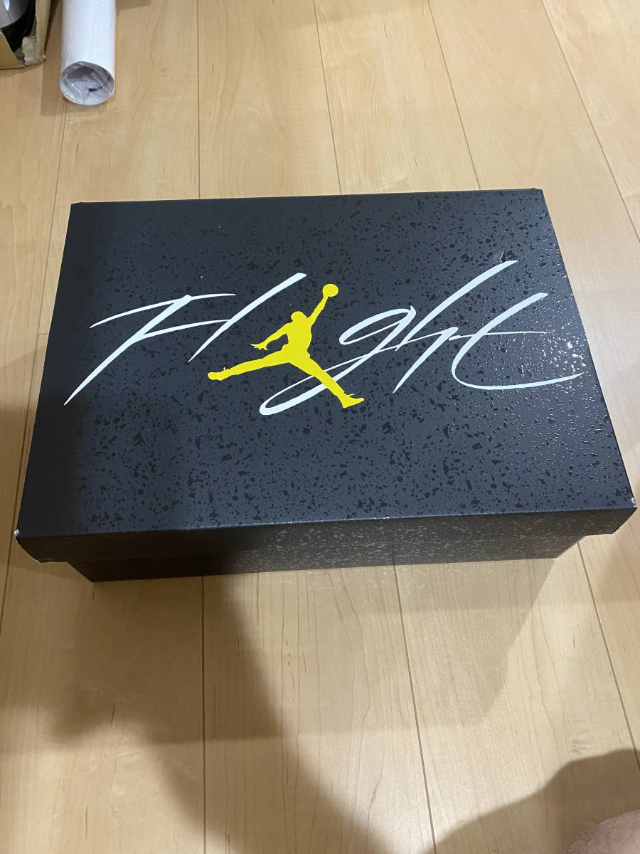 Nike Air Jordan 4 Retro "Thunder"(2023)_画像3