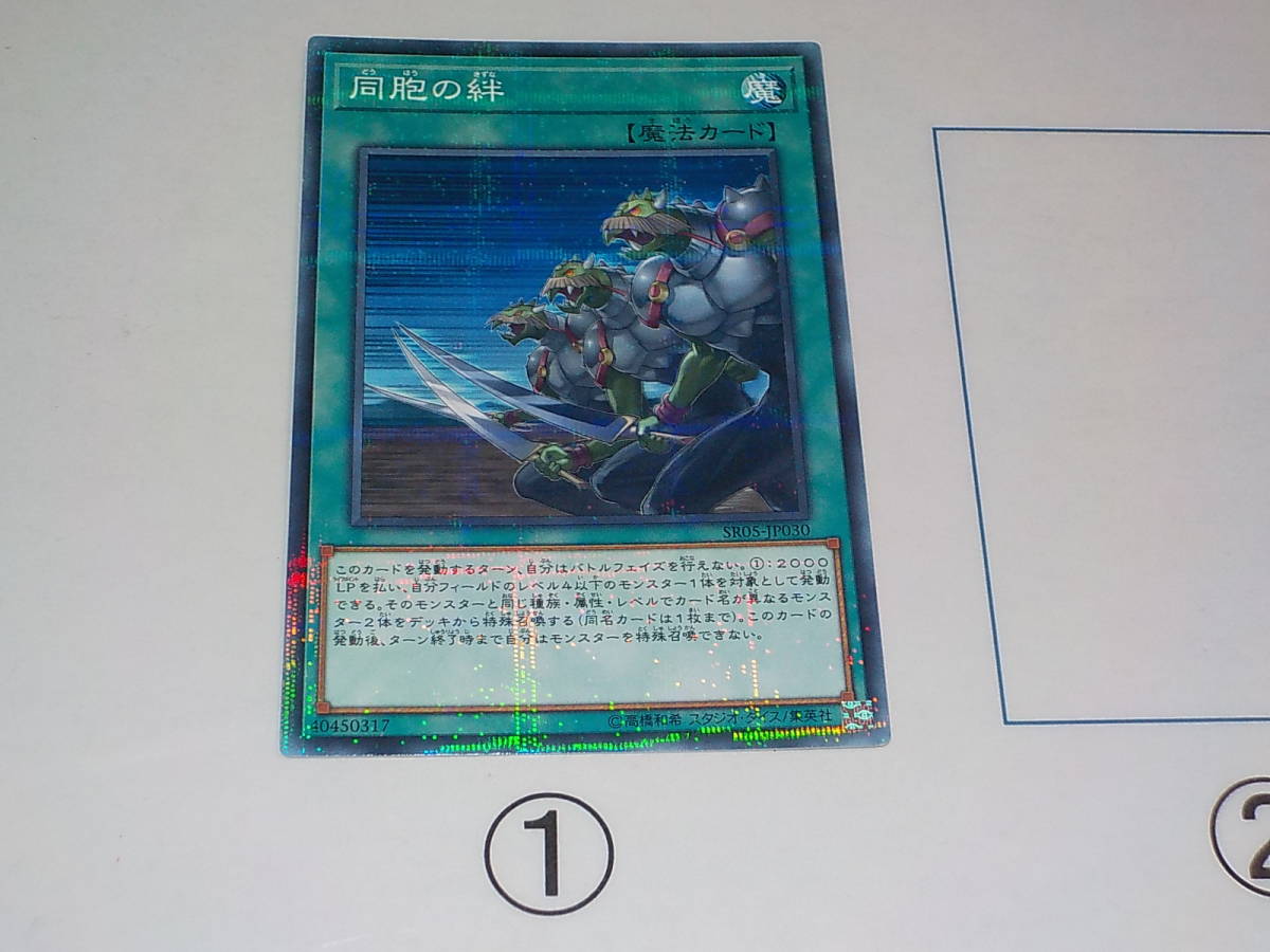 遊戯王　SR05　同胞の絆　パラレル　中古です。_画像1