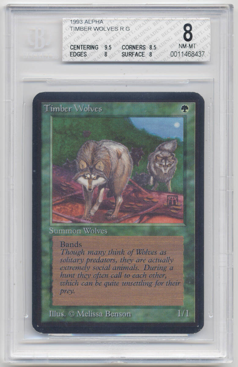 Graded Timber Wolves BGS Beckett 8 NM-MT Q++ w/9.5 Alpha Limited