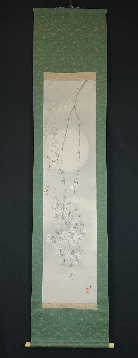 真作】 蔵壷◇『玉舎春輝 朧月枝垂桜図』 1幅 共箱 日本画 桜花画 山