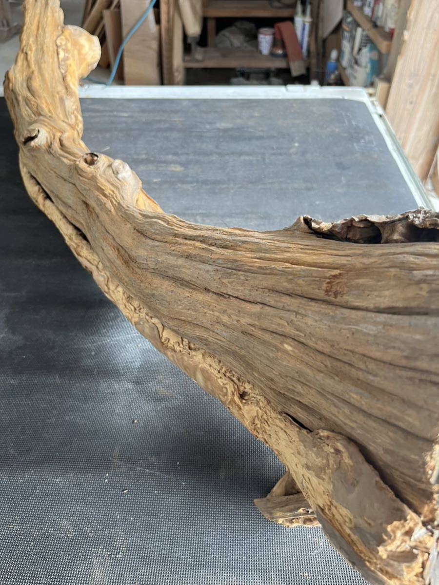 樹齢約800年 杉 枝 アクアリウム 流木 パワーウッド 水槽 インテリア テラリウム_画像2