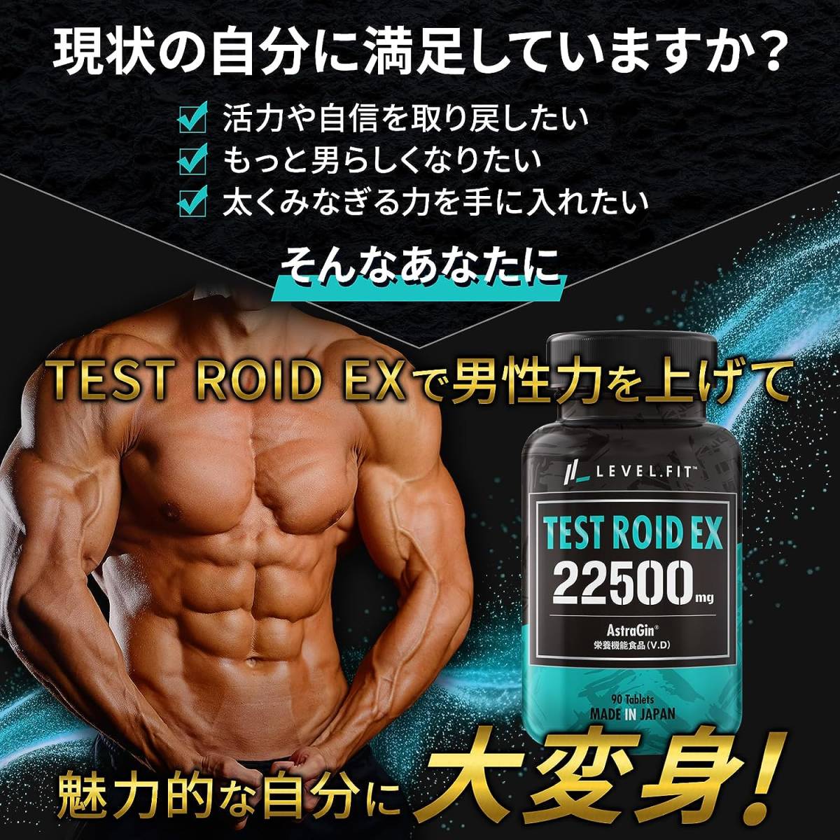 LEVEL FIT テストロイドEX テストステロン テストフェン LEVEL FIT テストロイドEX テストステロン テストフェン