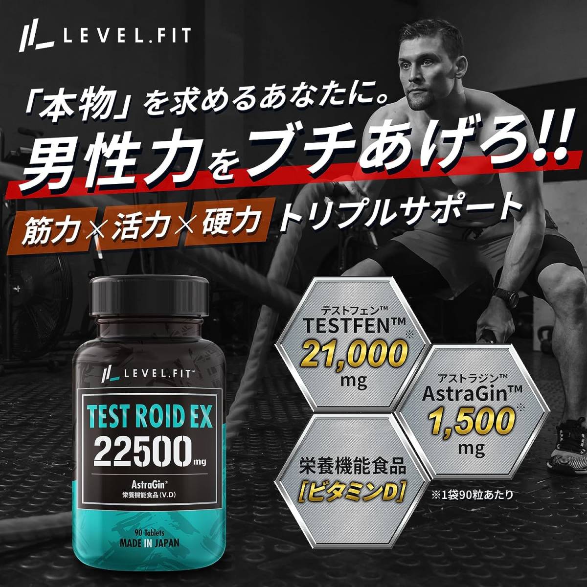 LEVEL FIT テストロイドEX テストステロン テストフェン LEVEL FIT テストロイドEX テストステロン テストフェン