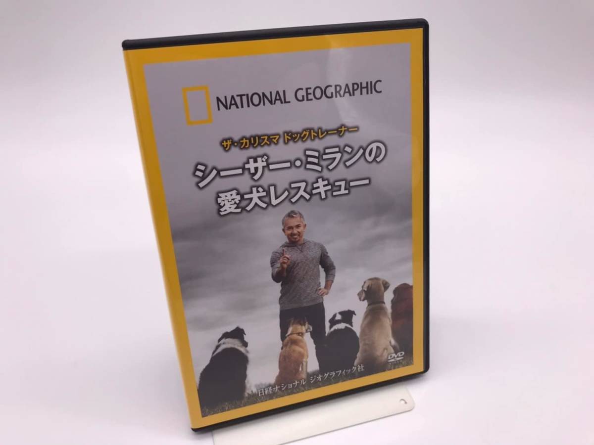 年中無休】 ナショナル ジオグラフィック ザ・カリスマ ドッグ