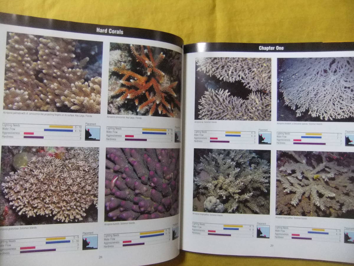 サンゴ　写真集　図鑑　洋書　CORALS　コーラル_画像9