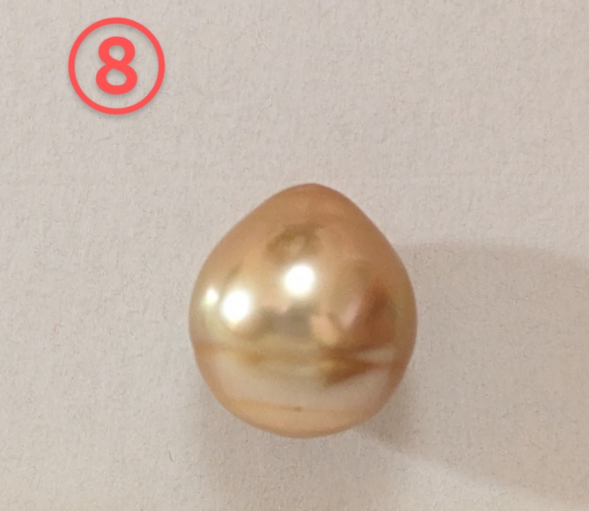 100％本物保証！ ⑧南洋白蝶貝真珠ゴールデンルース約12.9mm 真珠