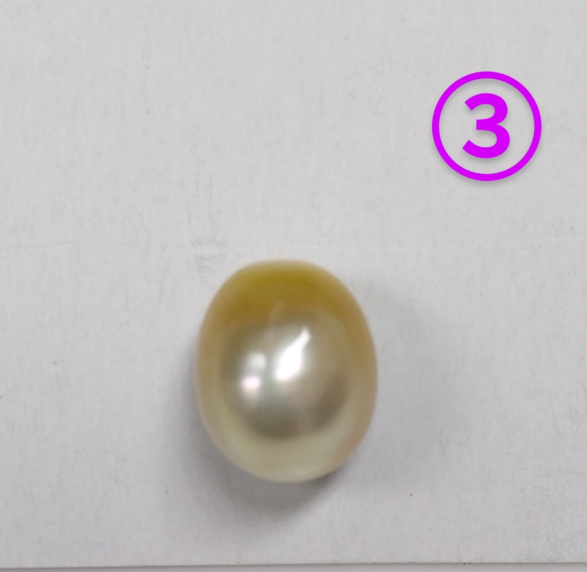 ③南洋白蝶貝真珠ゴールデンルース約10.4mm