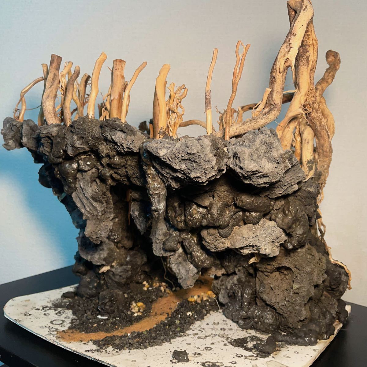 [ on Lee one goods ]. rock attaching driftwood empty . type aquarium layout [ nature. ..]