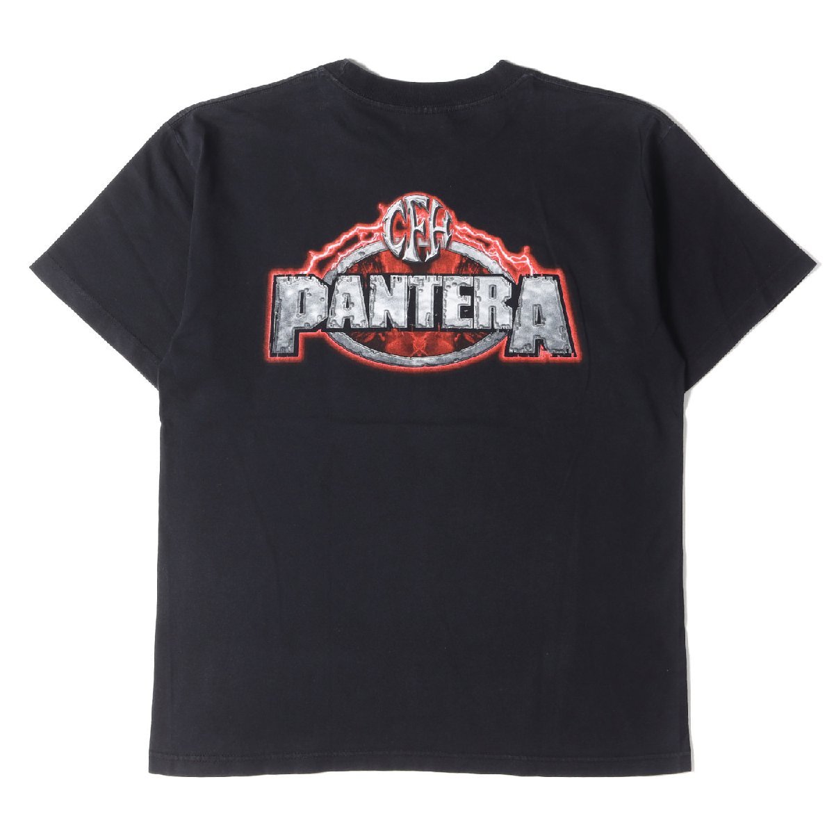 Vintage Rock Item ヴィンテージロック 00s PANTERA パンテラ スカル デザイン クルーネック 半袖 Tシャツ WINTERLANDボディ ブラック L