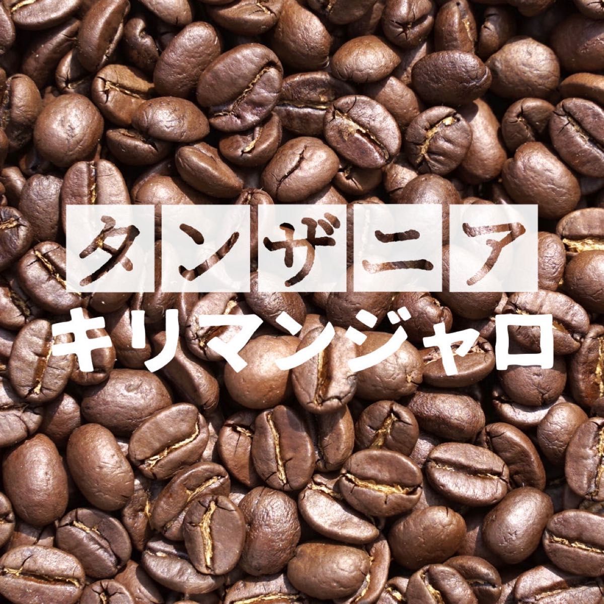 コーヒー豆 200g　タンザニア　KIBO AA 　キリマンジャロ