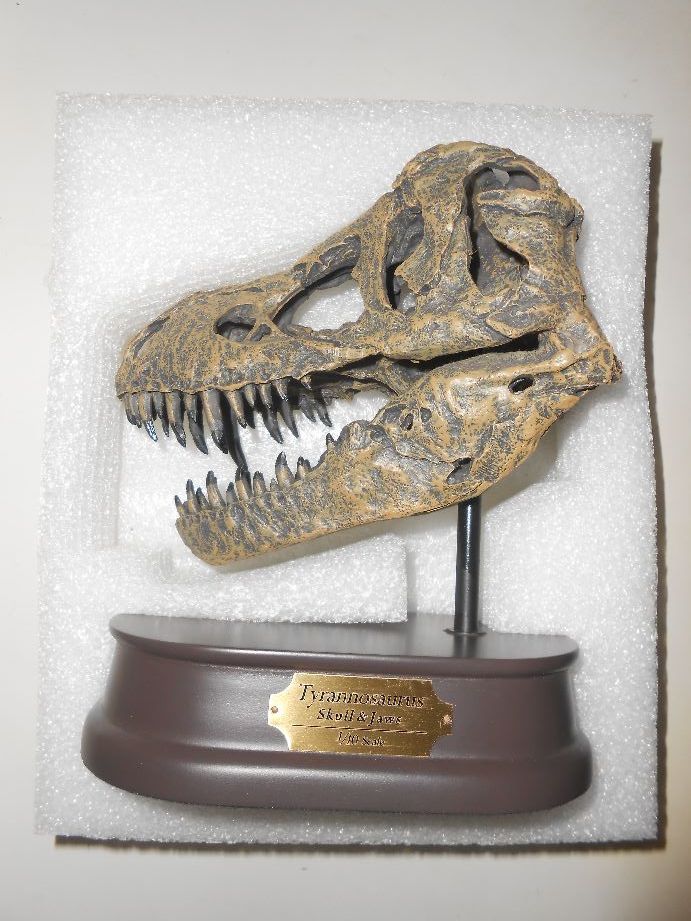 フェバリット コレクション★ティラノサウルス スカル＆ジョーズ（FDS-651）1/10スケール★skull&Jaws Tyrannosaurus FAVORITE COLLECTION_画像1