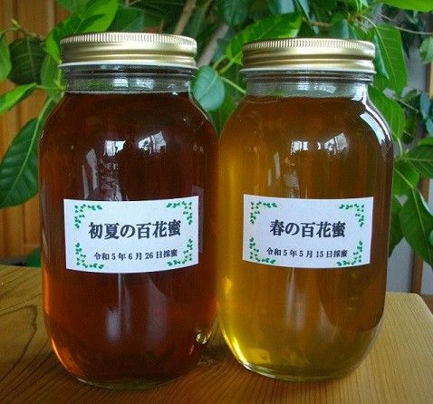 国産蜂蜜 「春の百花蜜」「初夏の百花蜜」搾りたて生蜂蜜 1200g×2本