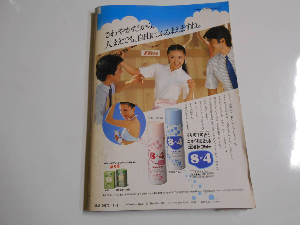 セブンティーン 1981年昭和56年7 21 西城秀樹 松山千春 シブがきトリオ 野村義男 宮田恭男 水谷豊 とんねるず 松村雄基 時任三郎 長渕剛 - その他 セブンティーン 1981年昭和56年7 21 西城秀樹 松山千春 シブがきトリオ 野村義男 宮田恭男 水谷豊 とんねるず 松村雄基 時任三郎 長渕剛 - その他