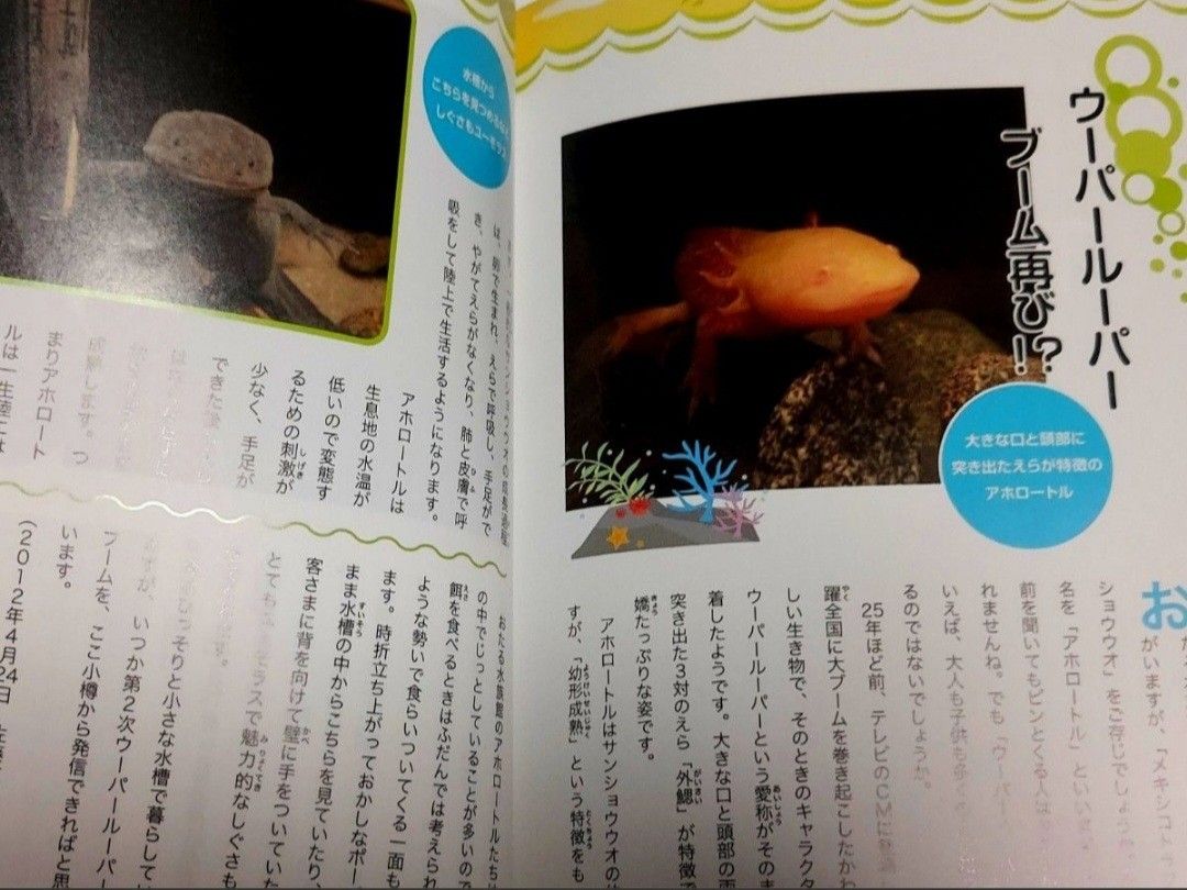 『おたる水族館』楽しい仲間たち　発行:北海道新聞社