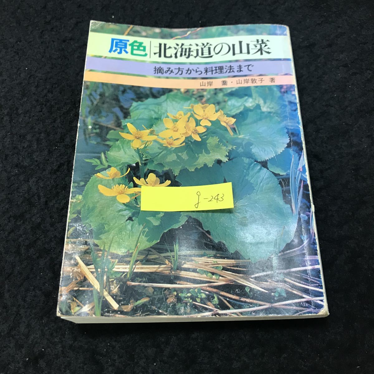 g-243 原色北海道の山菜 著/山岸喬 山岸敦子 株式会社北海道タイムス社 昭和53年第2版発行 ※5 _画像1