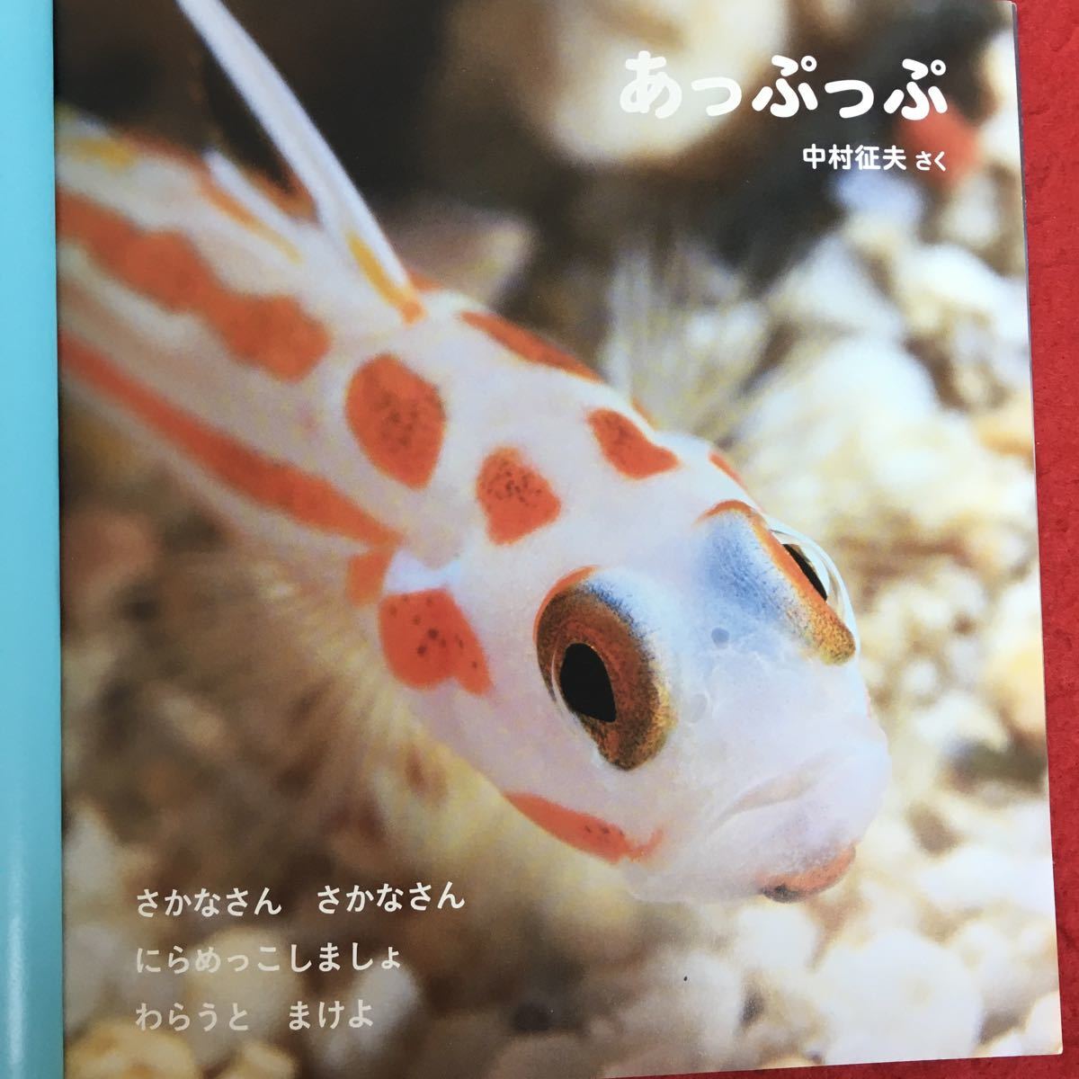 g-553※5/こどものとも年少版/あっぷっぷ/2019年5月1日発行/読み聞かせ えほん/中村 征夫 さく/_画像5