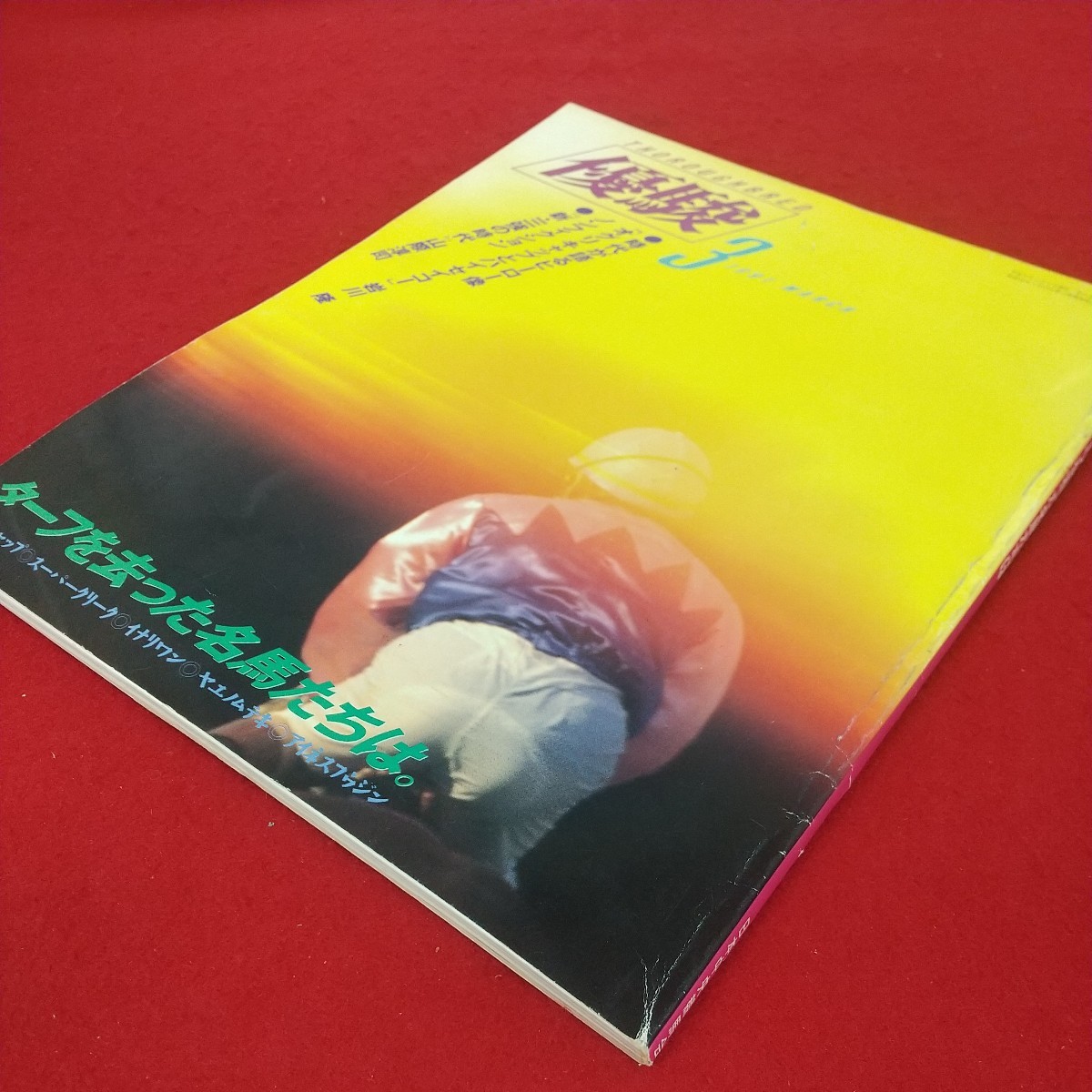 h-002※5 優駿 1991年3月号 平成3年3月1日発行 日本中央競馬会 時代が語るヒーロー像「オグリキャップとハイセイコー」 新・三強の時代_画像3