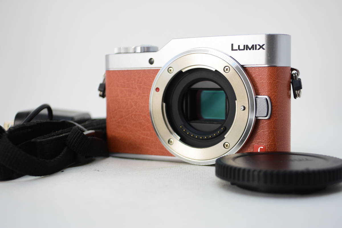 魅了 ☆良品☆Panasonic パナソニック DC-GF9 #2360 G LUMIX