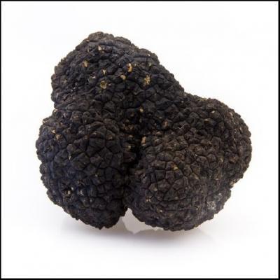 * world three large delicacy![himalaya production! black truffle!L size freezing goods ] approximately 500g... fragrance himalaya. black truffle!5kg till uniform carriage . we deliver!
