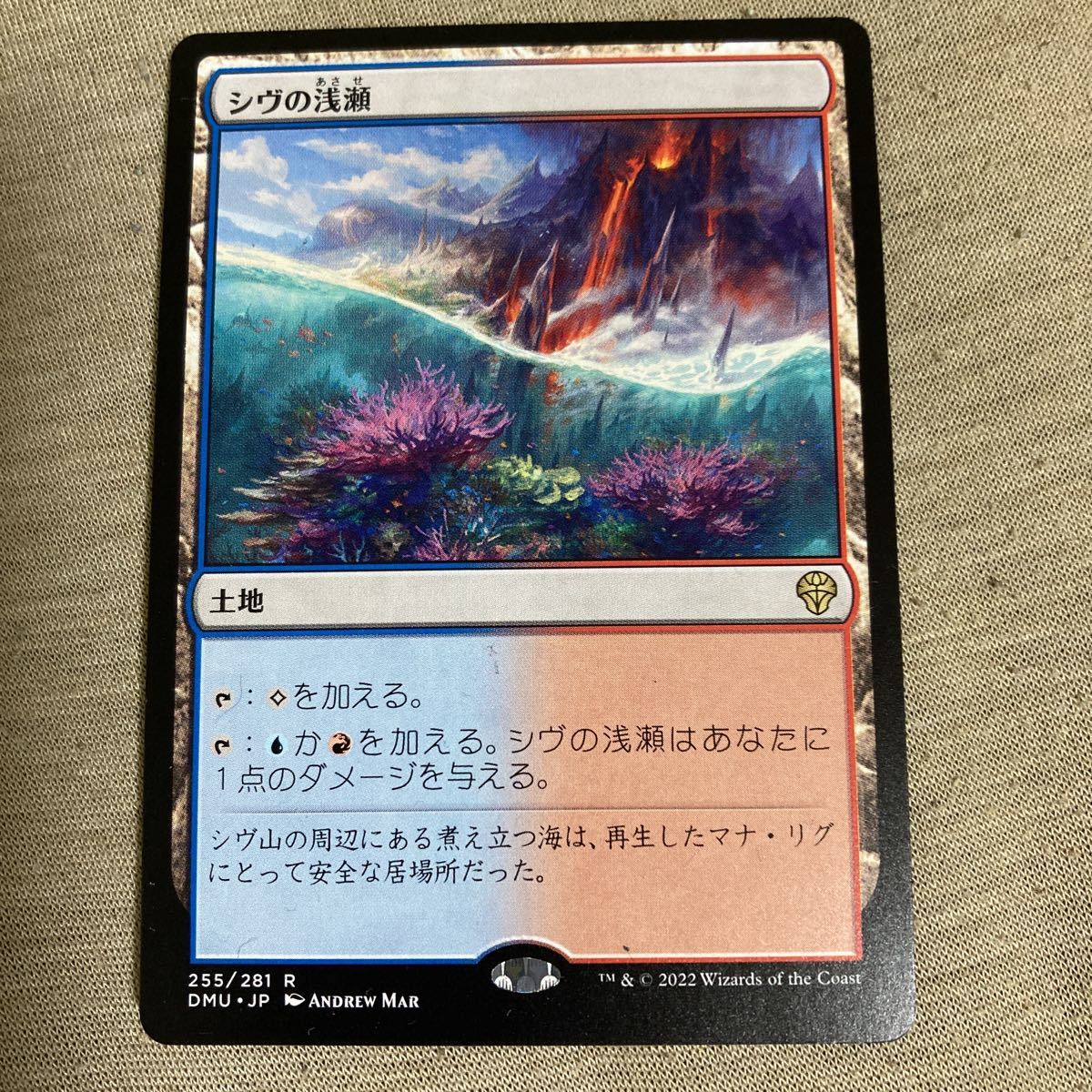 MTG ■土地/日本語版■ 《シヴの浅瀬/Shivan Reef》団結のドミナリア DMU_画像1