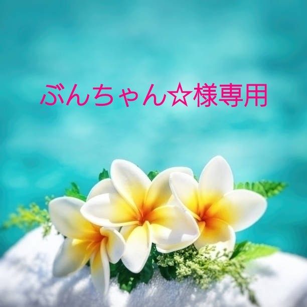 ぶんちゃん 様専用|PayPayフリマ
