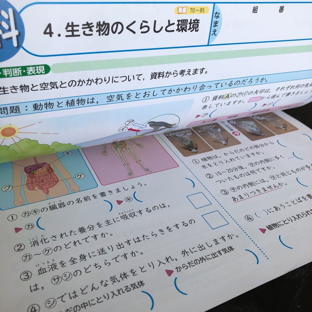 1385 基礎基本の理科A 6年光文書院 植物 生き物 小学 ドリル 問題集 テスト用紙 教材 テキスト 解答 家庭学習 計算 漢字 過去問 ワーク _画像6