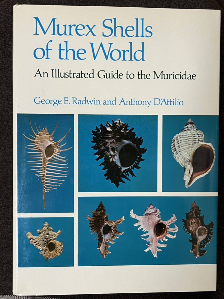 ☆ 洋書「Murex Shells of the World」アクキガイ科 骨貝 図解 ガイド 英語版 1976_画像1