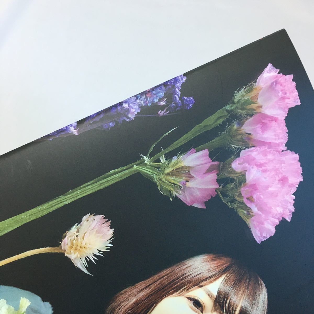 [ 2022年 ] 花澤香菜 Live 2022 blossom パンフレット 写真 インタビュー コメント HANAZAWA KANA グッズ 冊子 アルバム_画像5