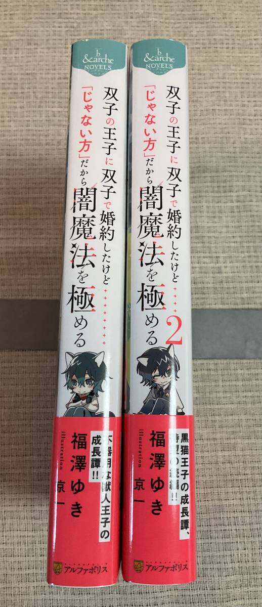 ■本 双子の王子に双子で婚約したけど「じゃない方」だから闇魔法を極める１巻と２巻 BL福澤ゆき■_画像3