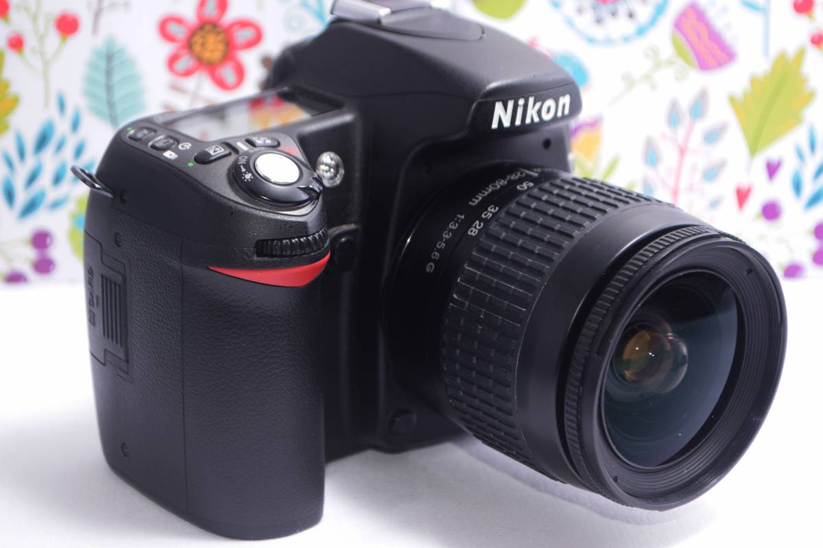 極美品 Nikon D80 スマホに転送OK 色鮮やか一味違う一眼レフ-