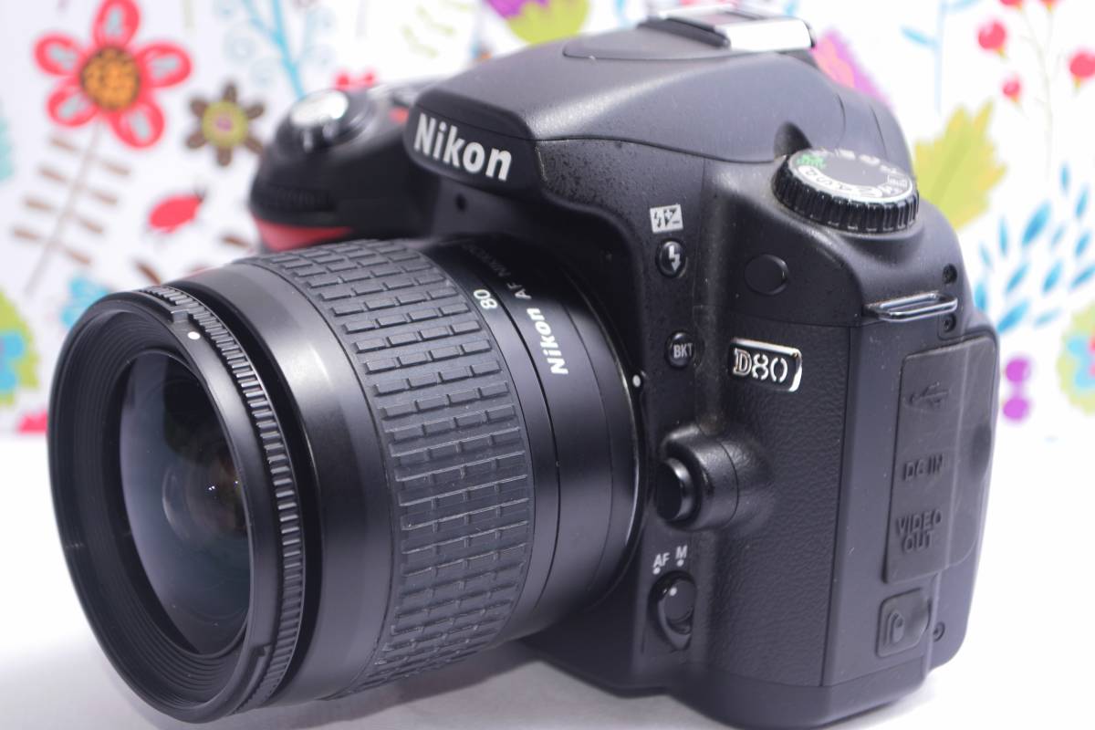 極美品 Nikon D80 スマホに転送OK 色鮮やか一味違う一眼レフ-