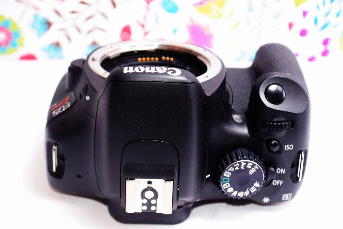 代引き不可】 ☆極美品☆Canon X4☆スマホ転送OK&即日発送☆初めてに