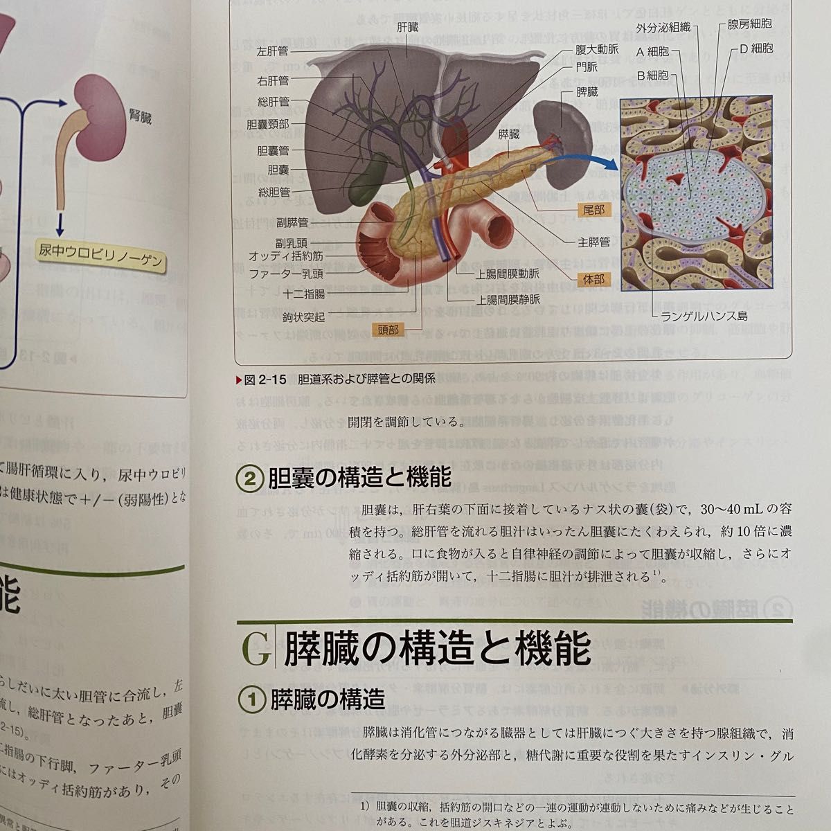 系統看護学講座　専門分野Ⅱ 消化器　成人看護学⑤ 医学書院