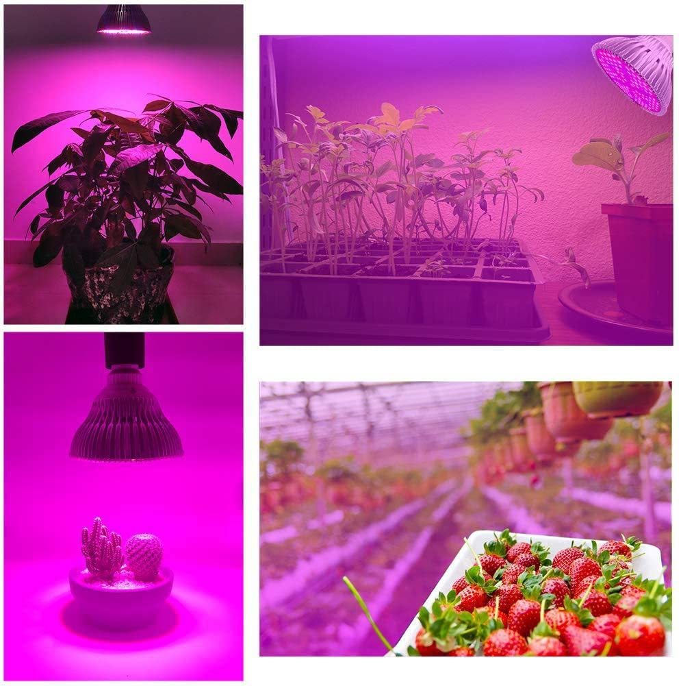  plant rearing LED light 80W E26 clasp plant light interior cultivation lamp PSE certification 