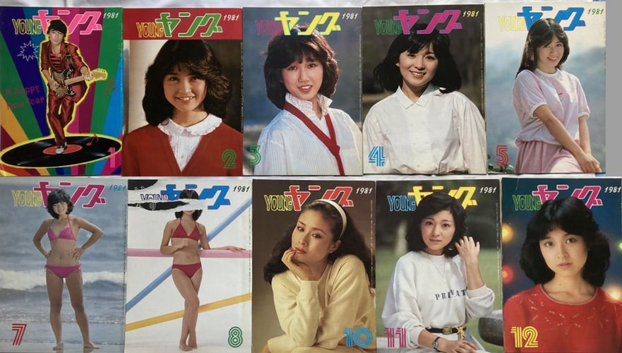 YOUNG ヤング1981年10冊一括沢田研二石川ひとみリリーズ太田裕美フィーバーアン・ルイスアグネスチャントライアングル小柳ルミ子_画像1