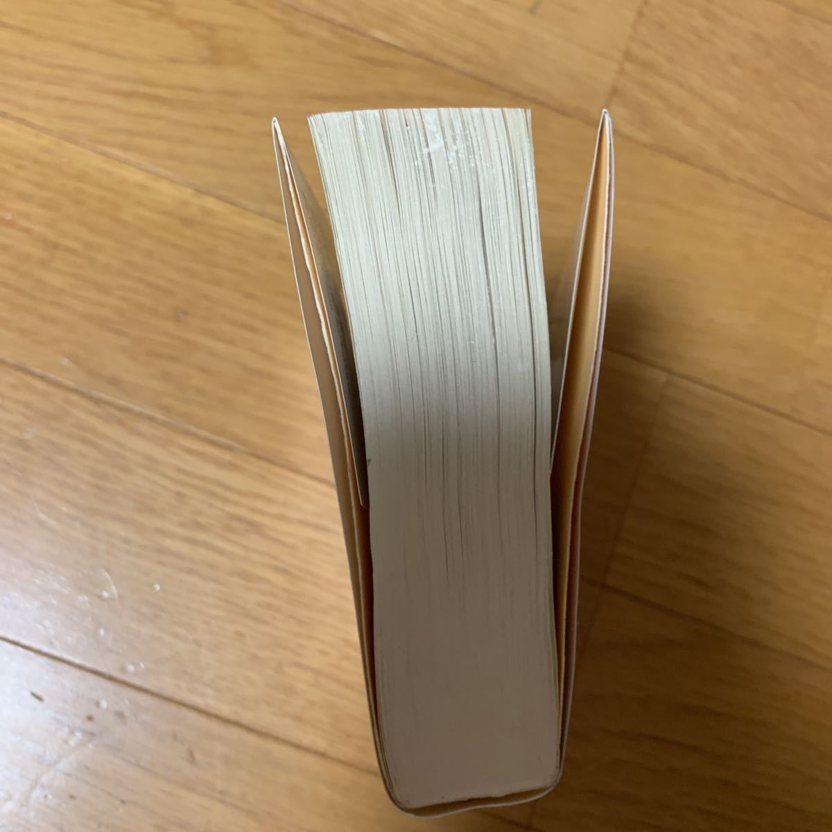 黒き戦士の恋人　Ｊ・R・ウォード 二見書房　安原和美　ダークラバー　2015年発行　ロマンス小説_画像5