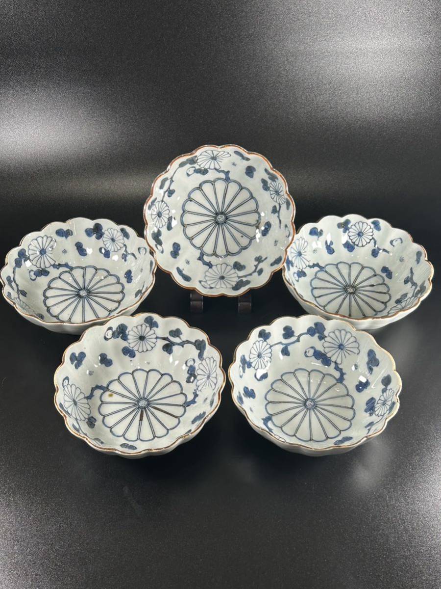 古伊万里染付菊唐草菊型なます皿S県大地主依頼品五客揃い江戸中期