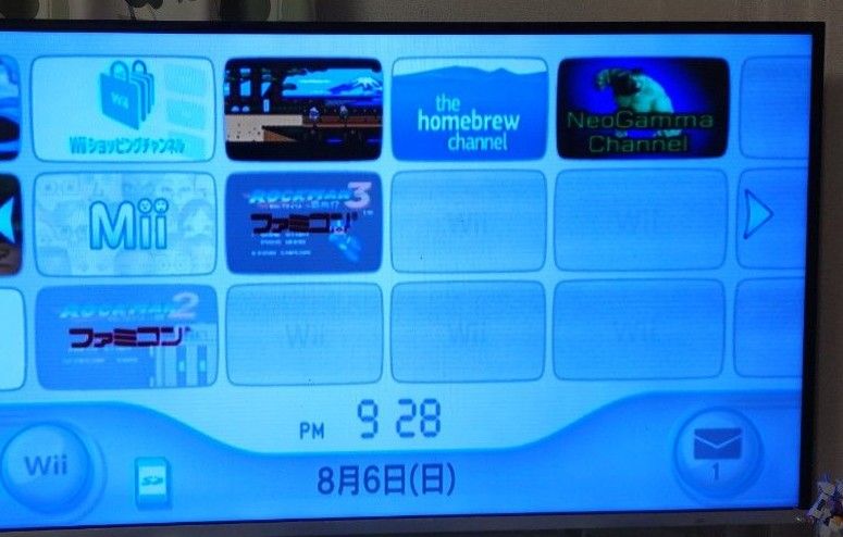 Nintendo Wii本体 ソフト10本 各種コントローラーなど（中古
