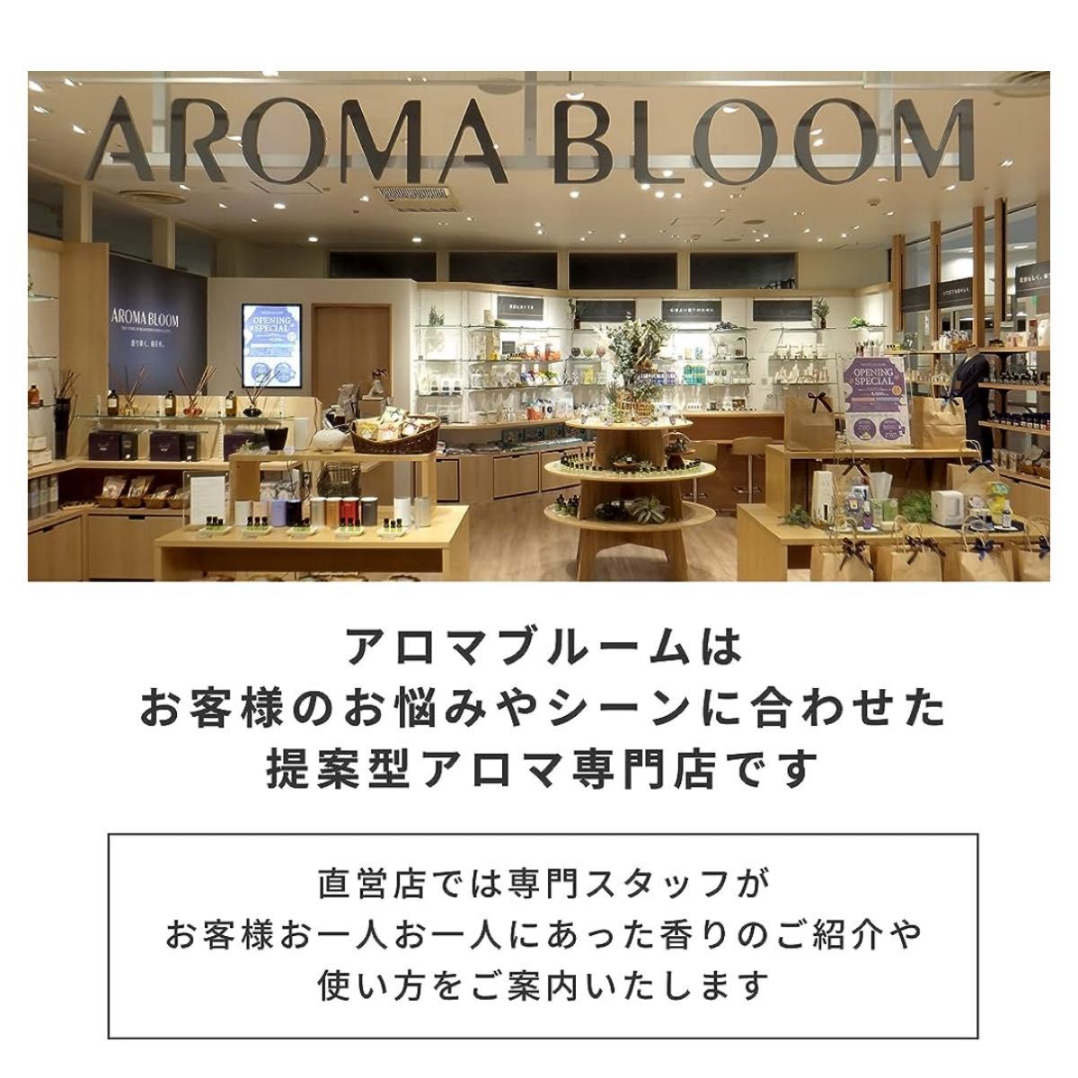 Aroma Bloom モバイルアロマディフューザー 90558｜充電式｜水を使わない　アロマオイル　セット