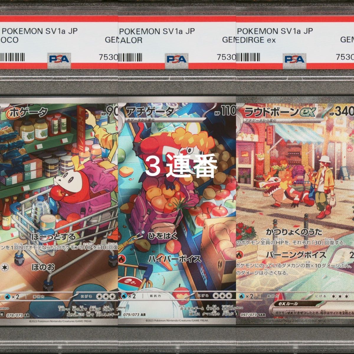 PSA10 ホゲータ アチゲータ ラウドボーンex AR SAR|Yahoo PSA10 ホゲータ アチゲータ ラウドボーンex AR SAR|Yahoo