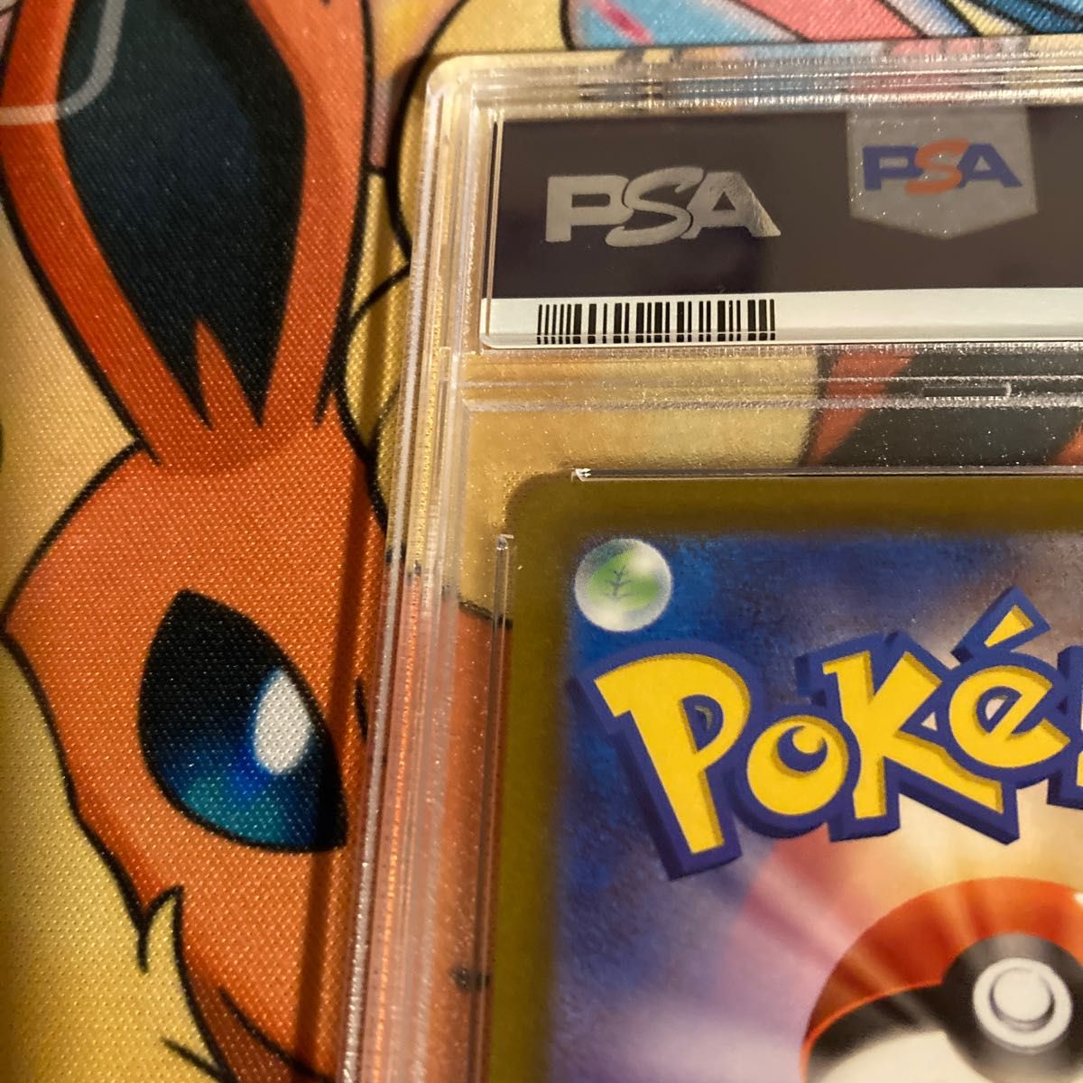 最安値】ポケモンカード グルーシャSAR PSA10 296 スノー 最安値】ポケモンカード グルーシャSAR PSA10 296 スノー