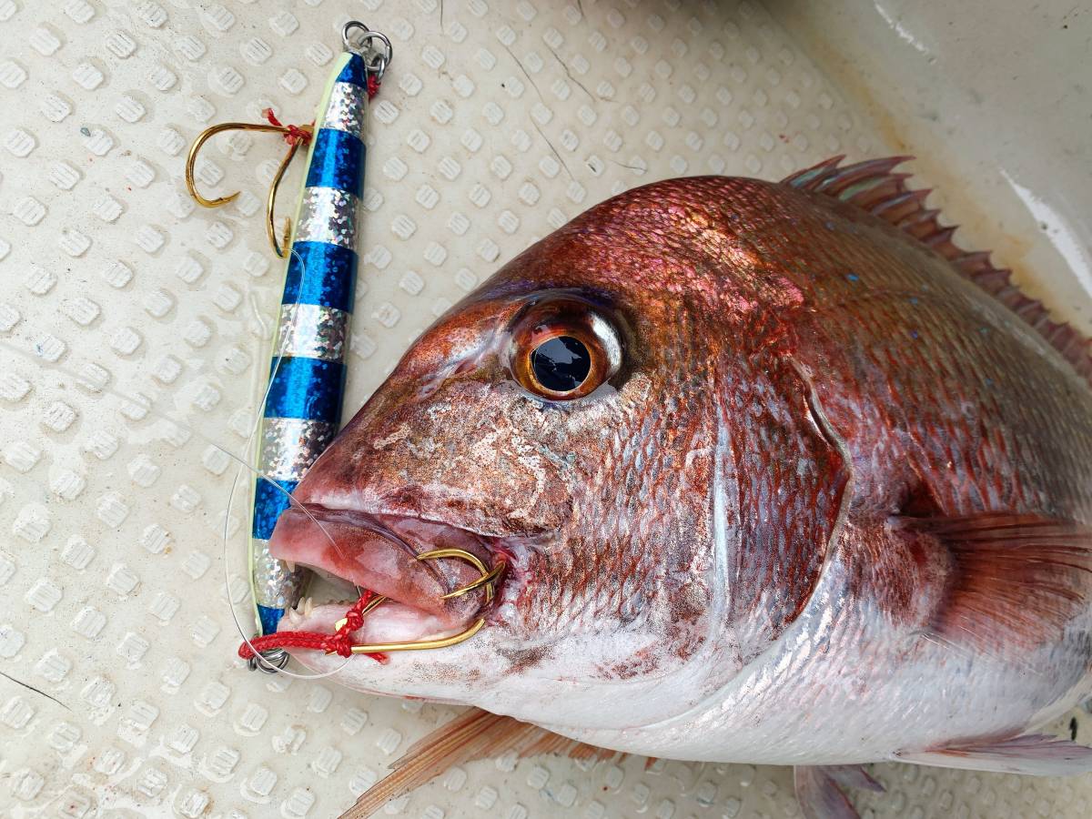 高い素材 ブリ、ヒラマサ釣るなら!【ケイムラホログラムジグ180g3種 メジャークラフト