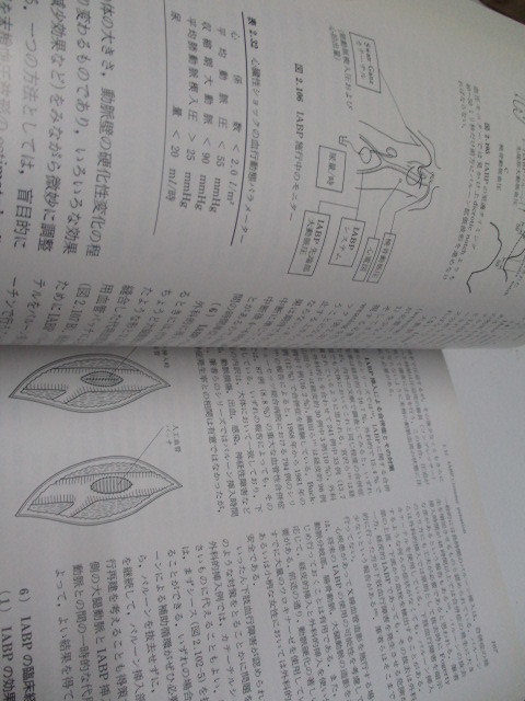 即決　病院払下げ本　集中治療医学大系〈1〉天羽 敬祐_画像6