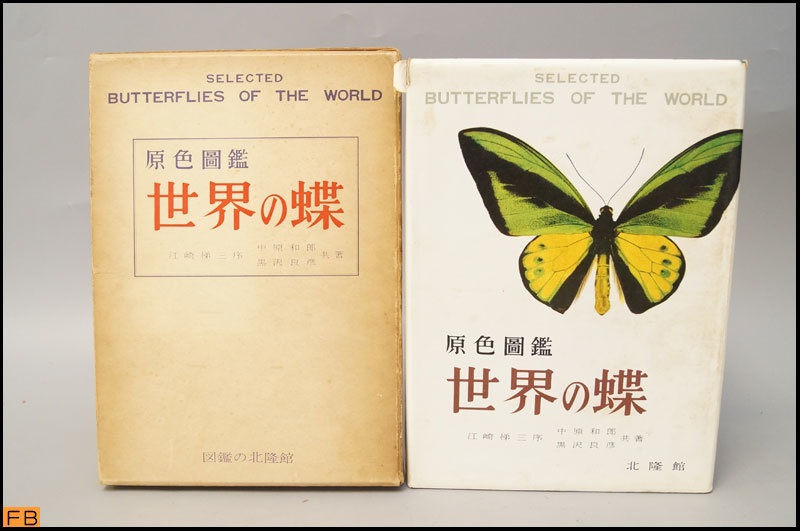 多様な 北隆館 黒沢良彦共著 中原和郎 江崎悌三 世界の蝶 税込◇希少