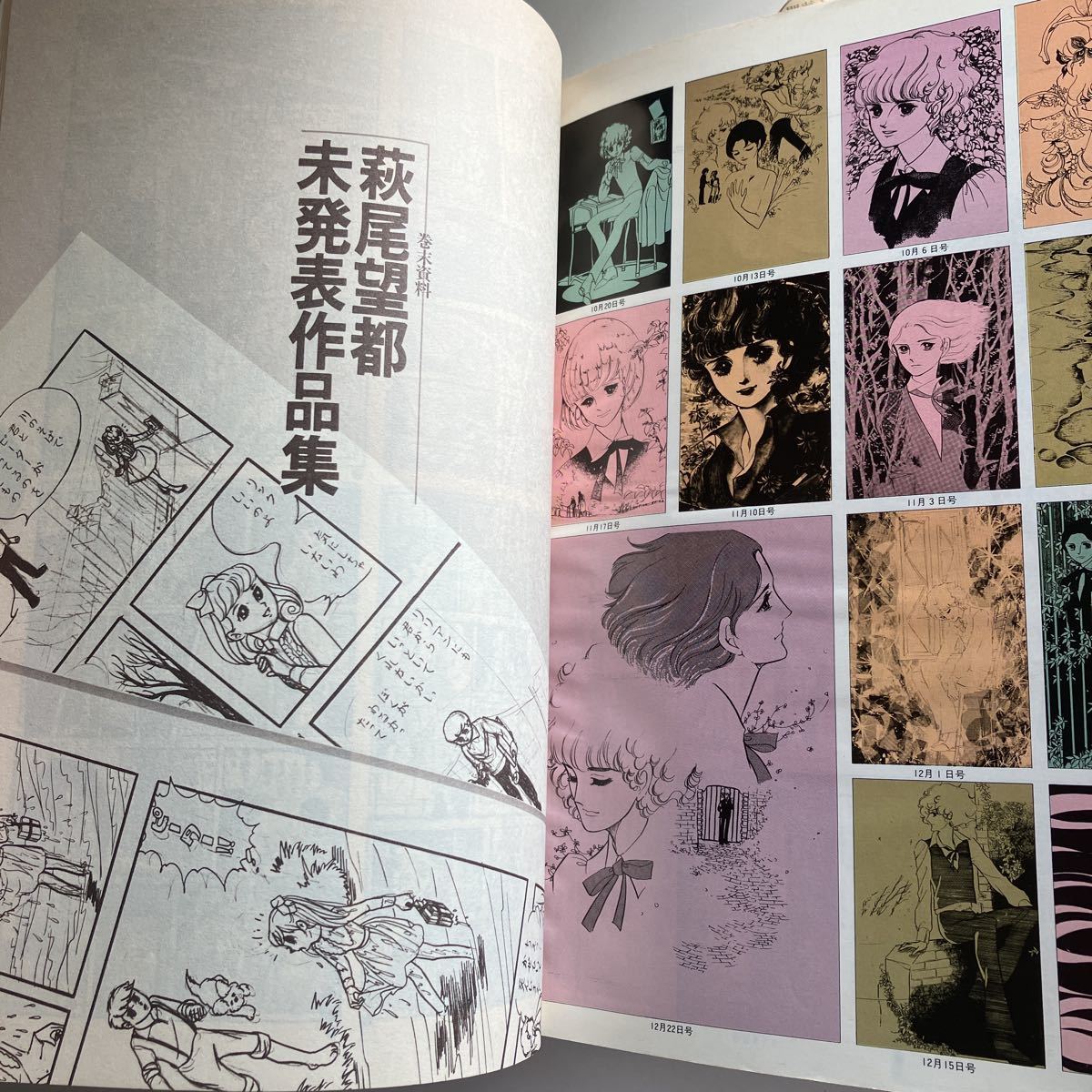 ◇送料無料◇ 萩尾望都の世界 イラスト・アニメージュ６ 徳間書店 1978年 ♪GM801の画像8