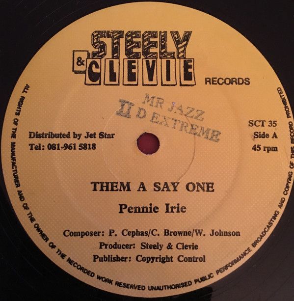 英12 Penny Irie Them A Say One SCT35 Steely & Clevie Records /00250_画像1