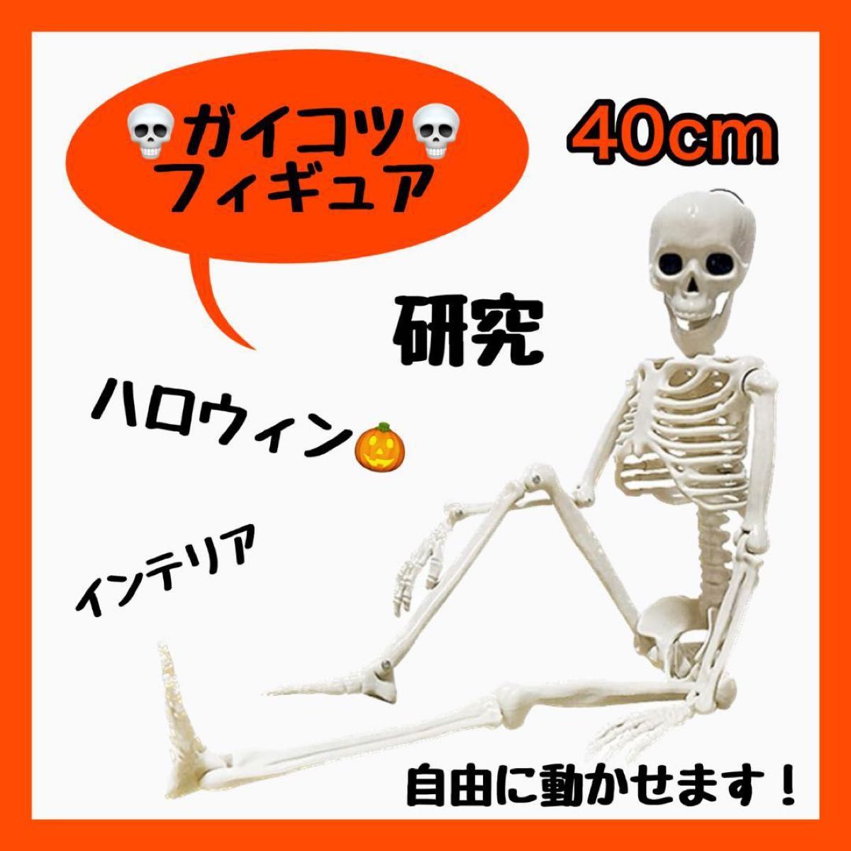 人体模型　骨の模型　デッサン　フィギュア　骸骨 　インテリア　置物　40cm