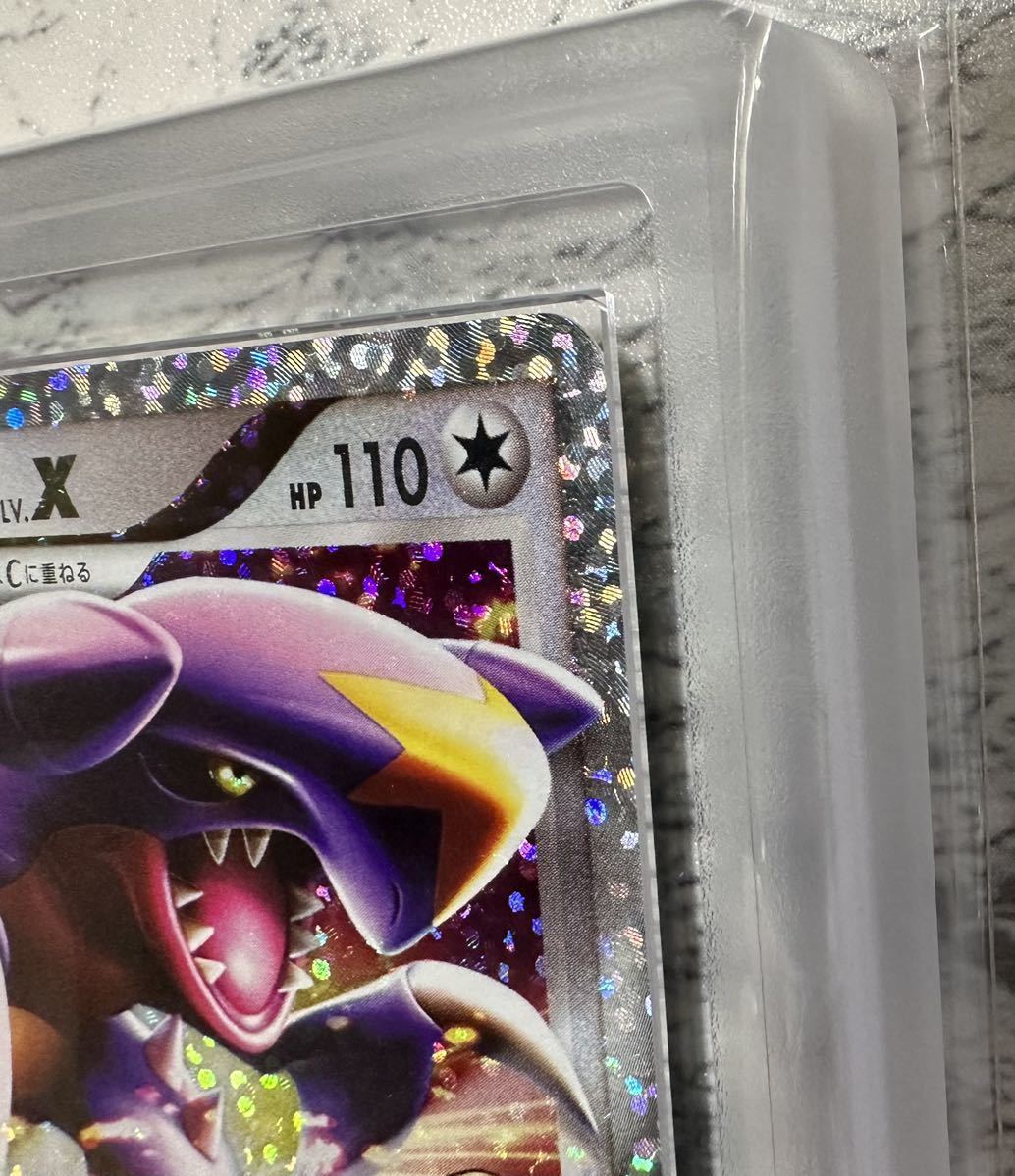 ポケモンカード 25th プロモ ガブリアスC LV X ARS鑑定Grade10+ ポケモンカード 25th プロモ ガブリアスC LV X ARS鑑定Grade10+