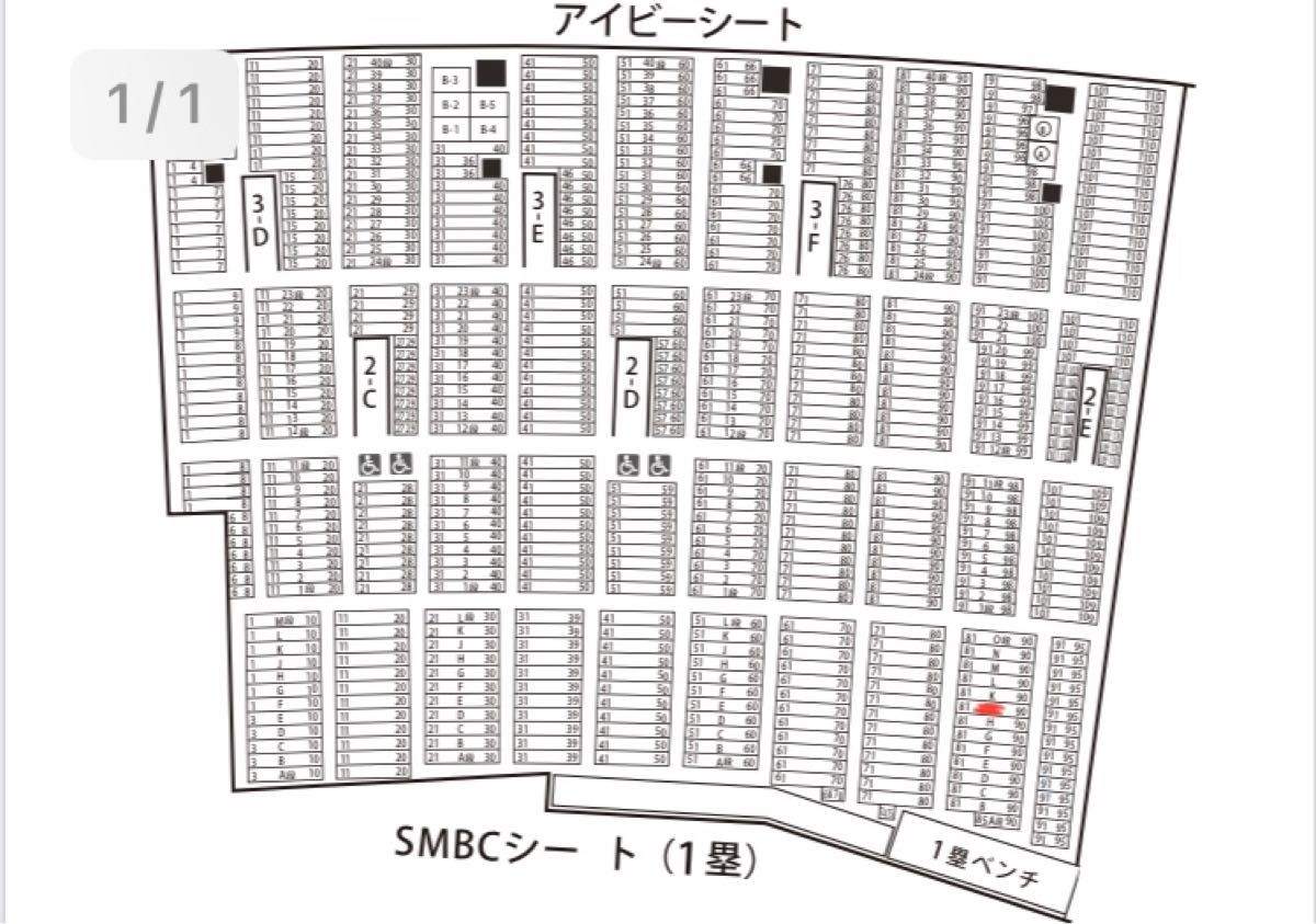 8/13(日) 甲子園 全国高校野球選手権大会 第8日 一塁側ベンチ上 連番2